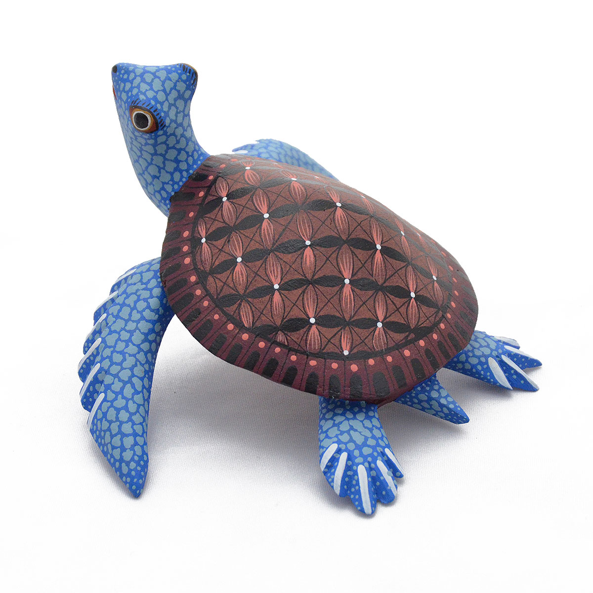 Eduardo Fabian: Sea Turtle Brown | CulturalArt.org