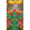 Wixárika (Huichol) Art Santos Daniel: Premier 48″ x 48″ Huichol Yarn Painting Direct from Mexico Huichol