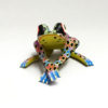 David Blas David Blas: Frog Alebrijes