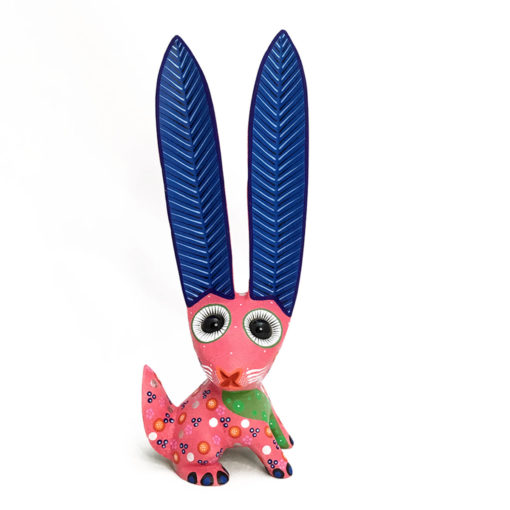 Azucena Santiago Azucena Santiago: Long Ear Rabbit Rabbits